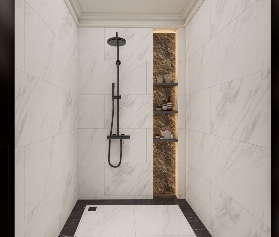 Walk-in shower with lit niche